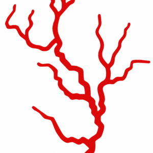 Calcomanía Rayo Rojo