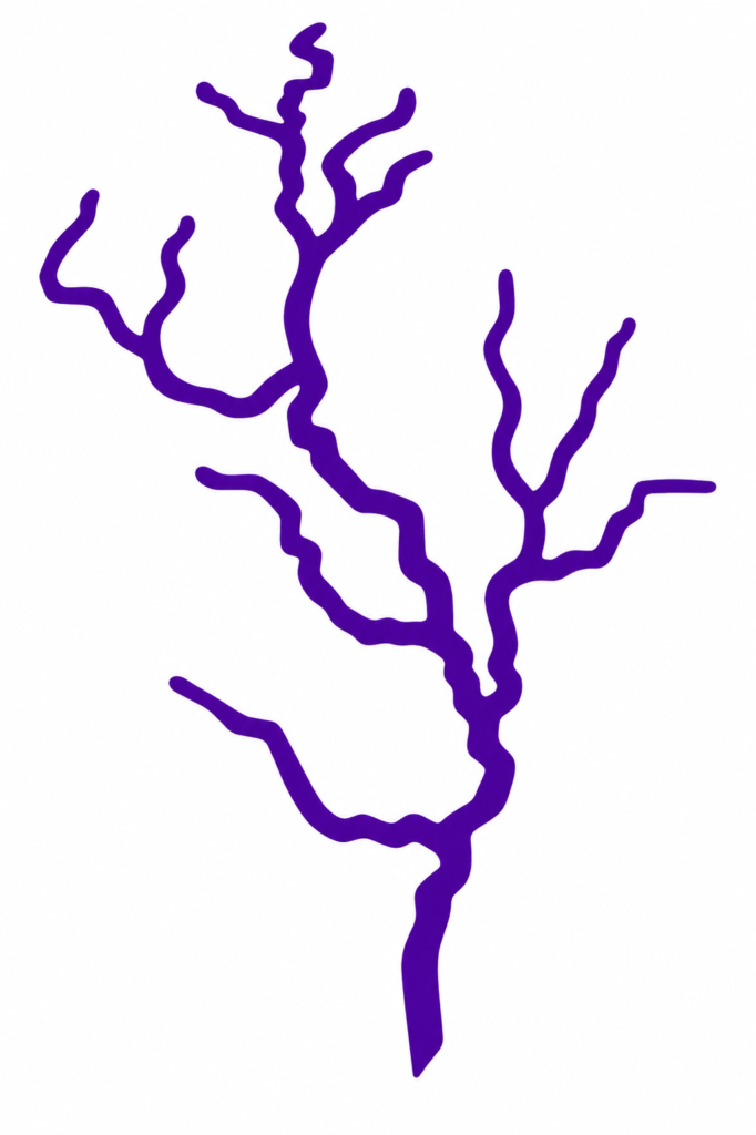 Rayo Morado