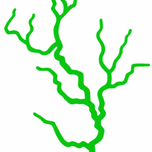 Rayo Verde