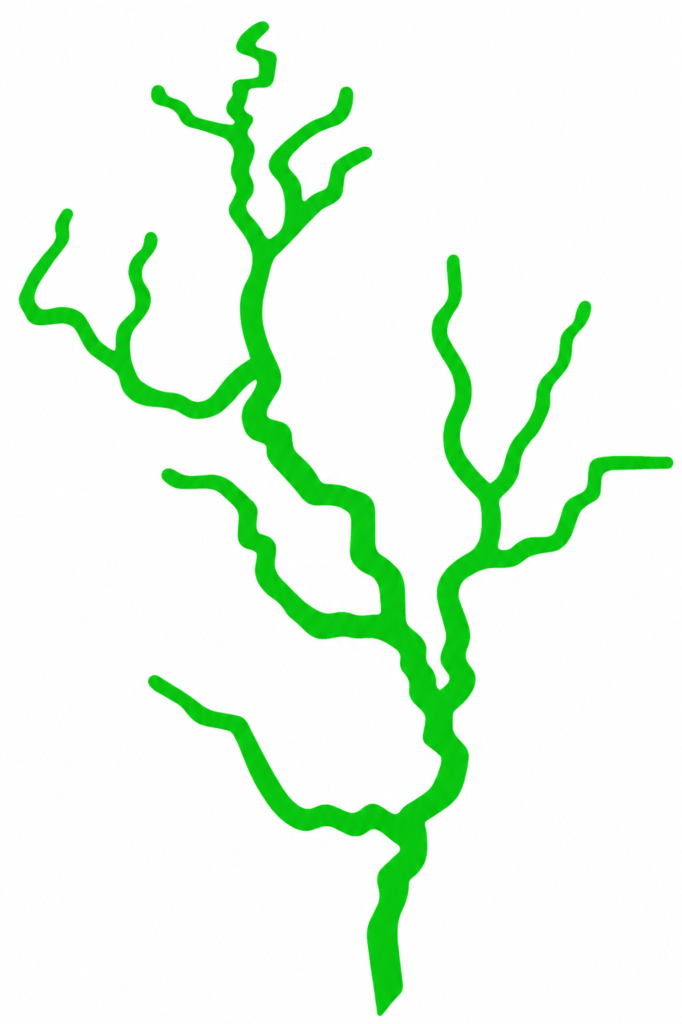 Rayo Verde