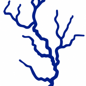 Rayo Azul